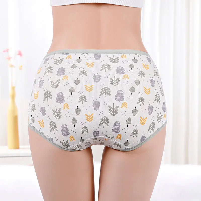 Women's Underwear Cotton High Waist Panties Female Abdominal Briefs Girls Graphene Antibacterial Underpant Ladies Sexy Lingeries